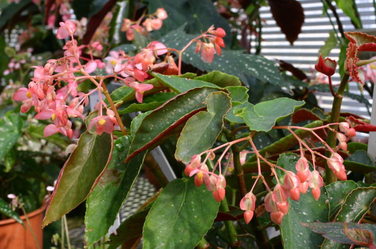 �x�j�R�}�`