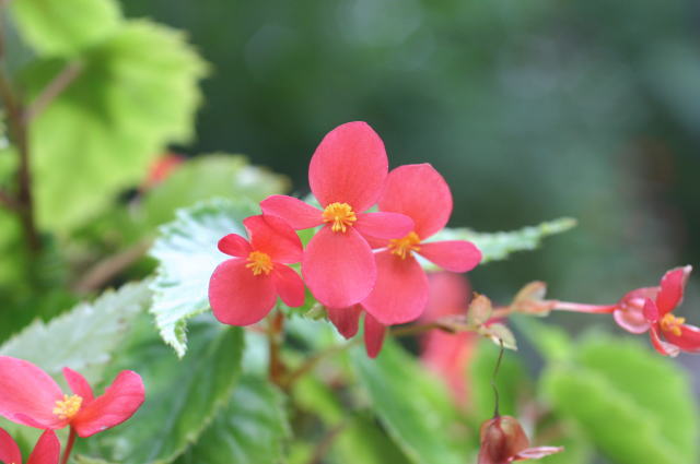 �}�_���E�t�@�j�[�E�W����