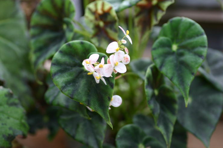 �}�U�G�E�j�O���J���X