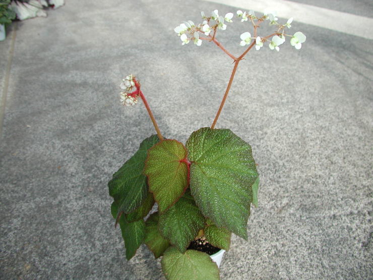 �����b�R